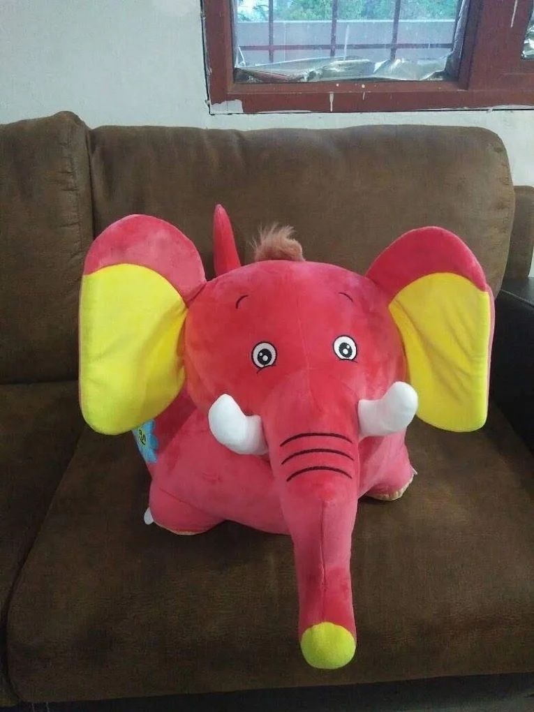 Toonz Retail - Toys Shop in Haldwani